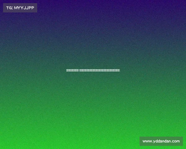 韩国足球熊猫赛事 韩国足球熊猫赛事激情开赛熊猫魅力融入绿茵盛宴共享欢乐